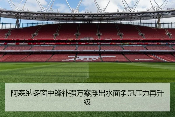 阿森纳冬窗中锋补强方案浮出水面争冠压力再升级